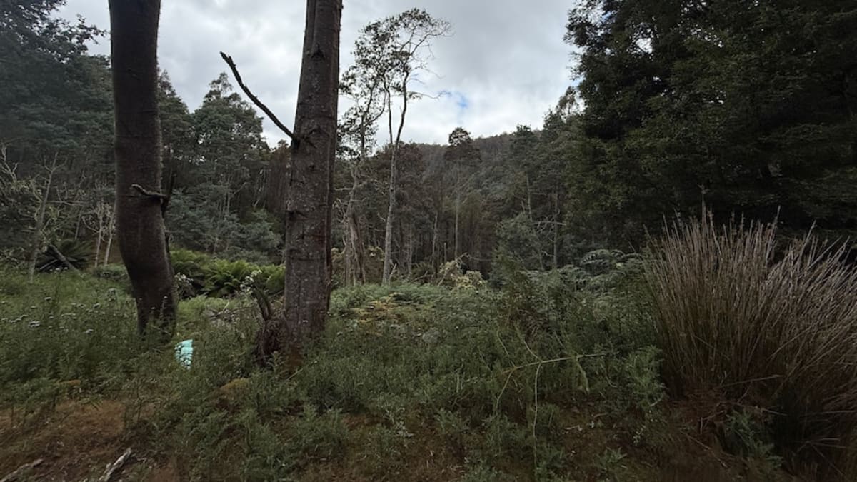 Private Landowners Return 3 Tasmania Blocks to Aboriginal Council - Image 3