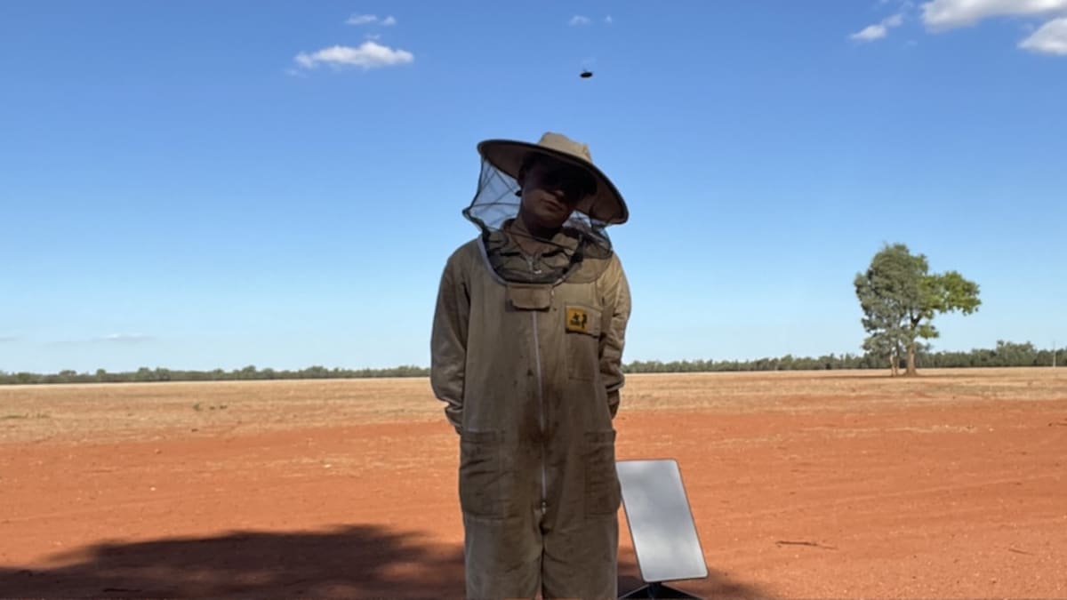 23-Year-Old Beekeeper Educates Thousands on Social Media - Image 3
