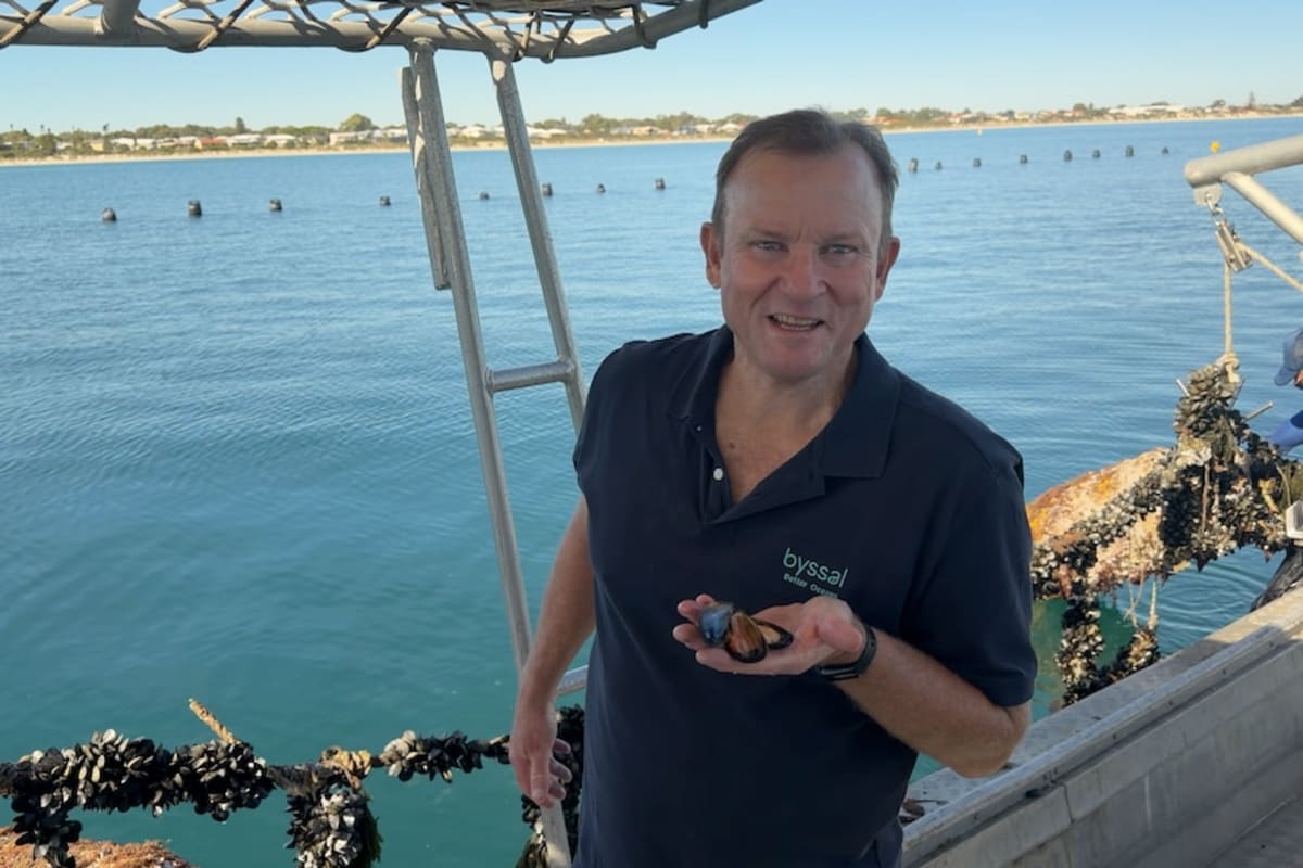 Millions of Mussels Clean Up Perth Bay, Revive Ecosystem - Image 3