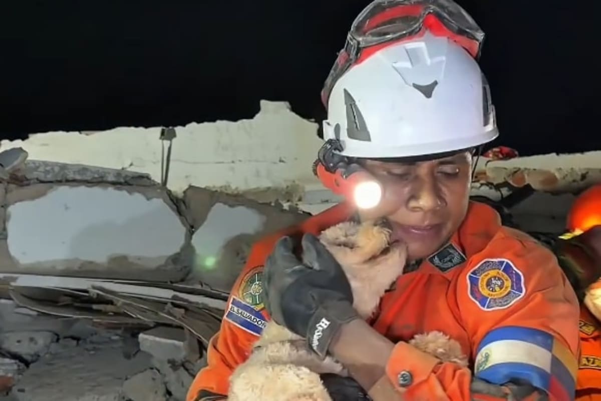 Venezuela: Baby Survives 32 Hours in Rubble at 18 Days Old - Image 4