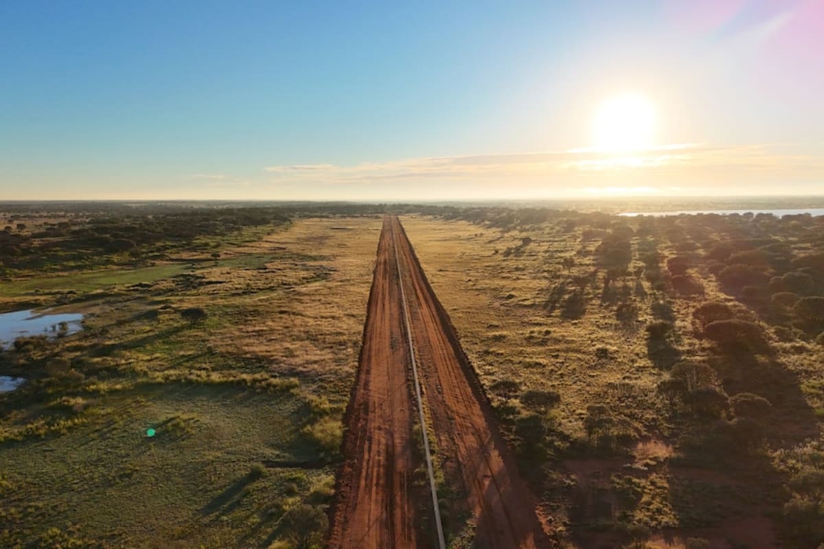 Extinct Species Return to Australian Outback After 100 Years - Image 3