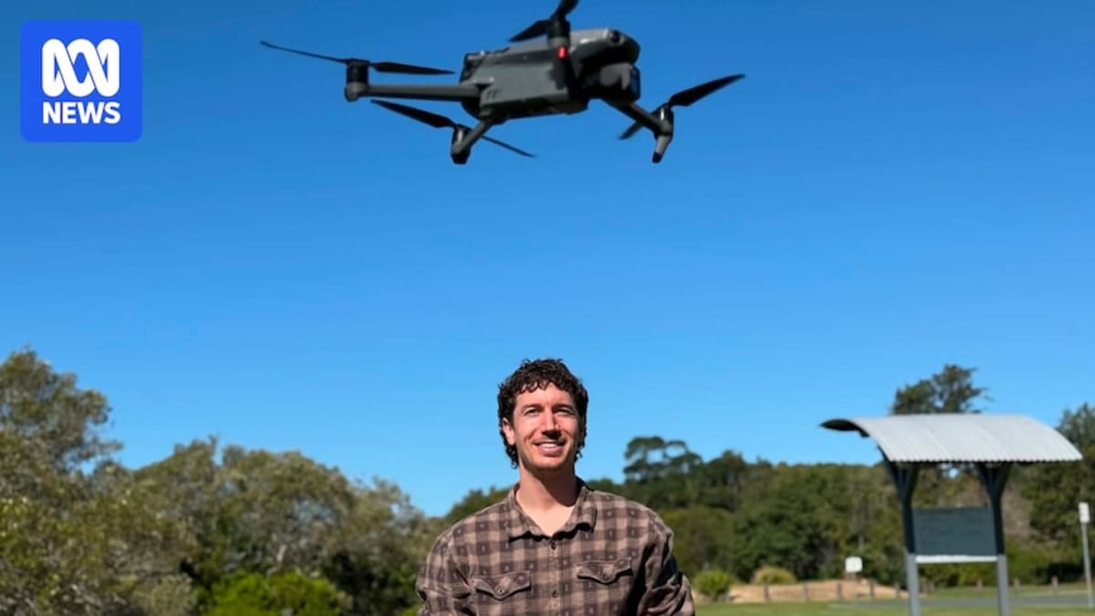 Drone aerial view of shorebirds with AI overlay highlighting and counting individual birds automatically