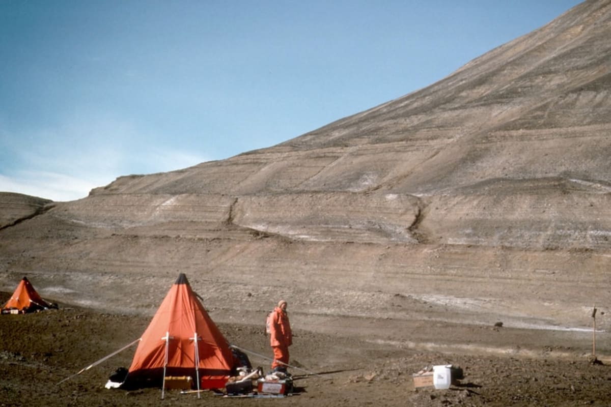 Antarctica's First Dinosaur Bone Sat in Drawer for 40 Years - Image 3