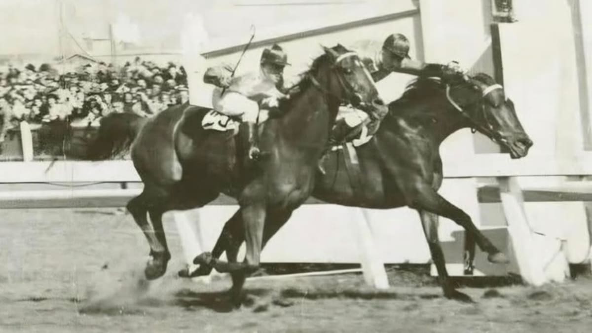 Teen Jockey's 80-1 Melbourne Cup Win Lives On In Silo Art - Image 2