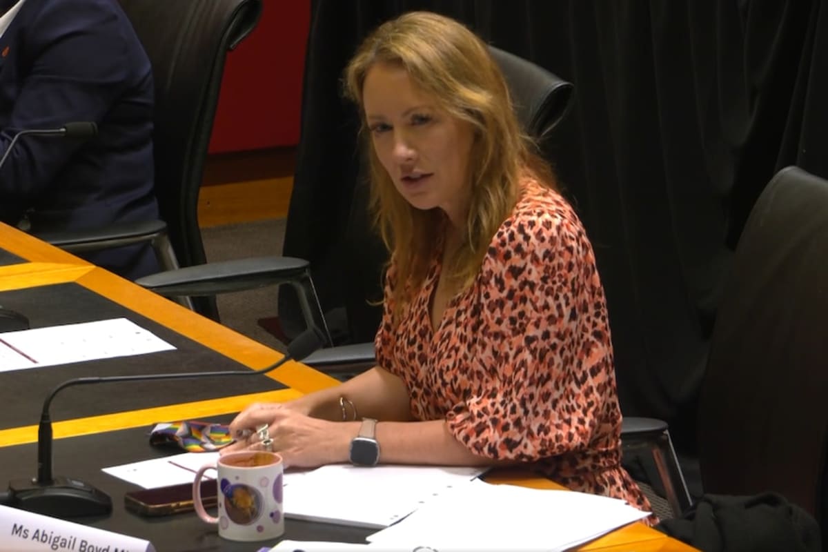 NSW Passes Major Childcare Reforms After Safety Inquiry - Image 3