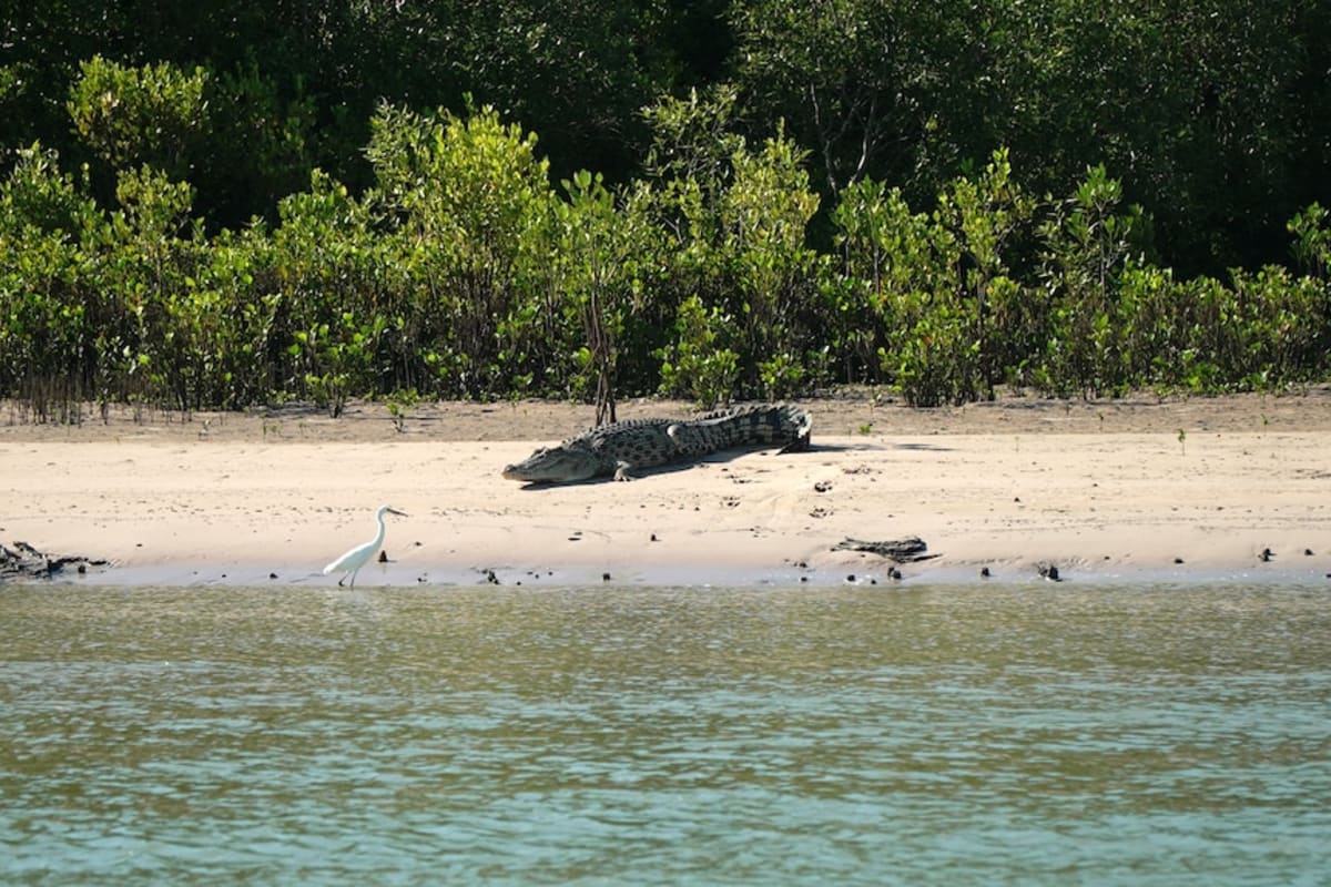 Australia Expands Marine Park Where You Can Catch 12 Species - Image 4
