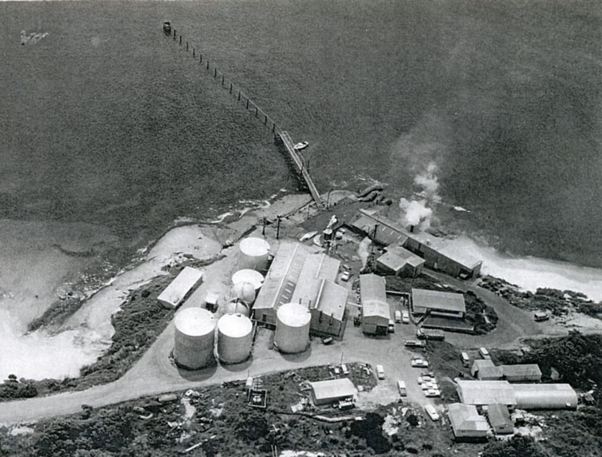 Albany Museum Honors Overlooked Women of Whaling Industry - Image 5