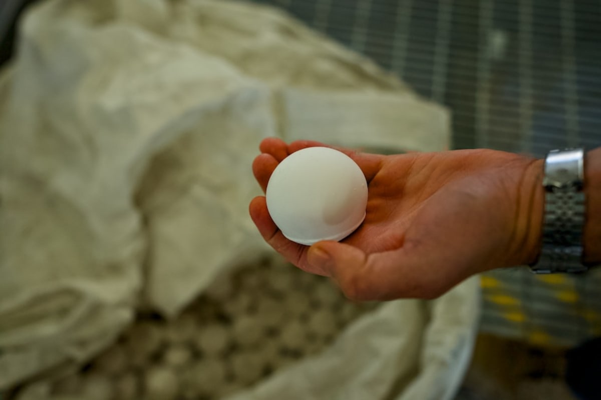 Australian Farmers Turn Recycled Glass Into Crop Gold - Image 3