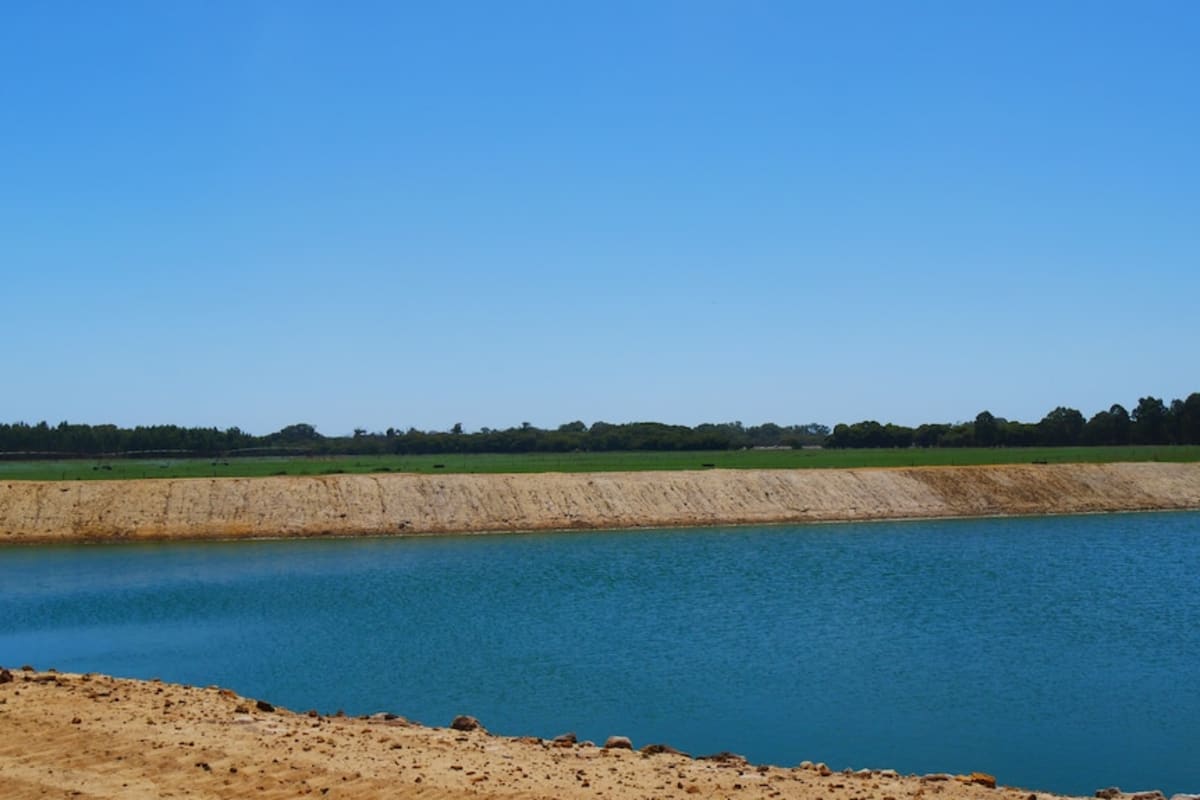 Australia's Largest Dairy Cuts Power Costs With Solar - Image 4