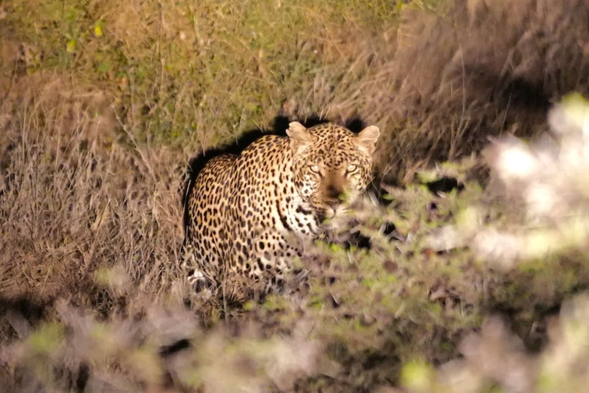 Australian Farmer Transforms Kenya's "Uncroppable" Land - Image 5