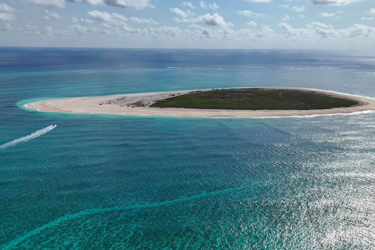 Drone Tech Saves Remote Island From Mouse Plague - Image 3