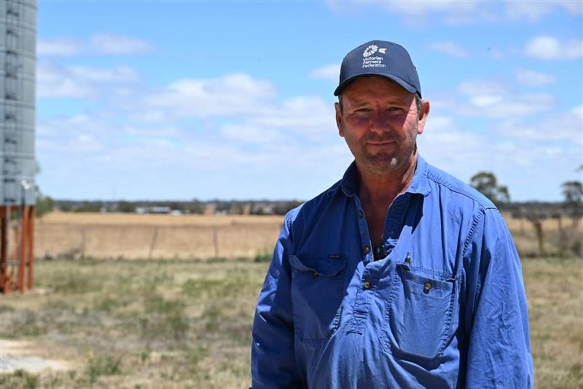 Victorian Farmer Offers Land for Clean Energy Transmission - Image 3