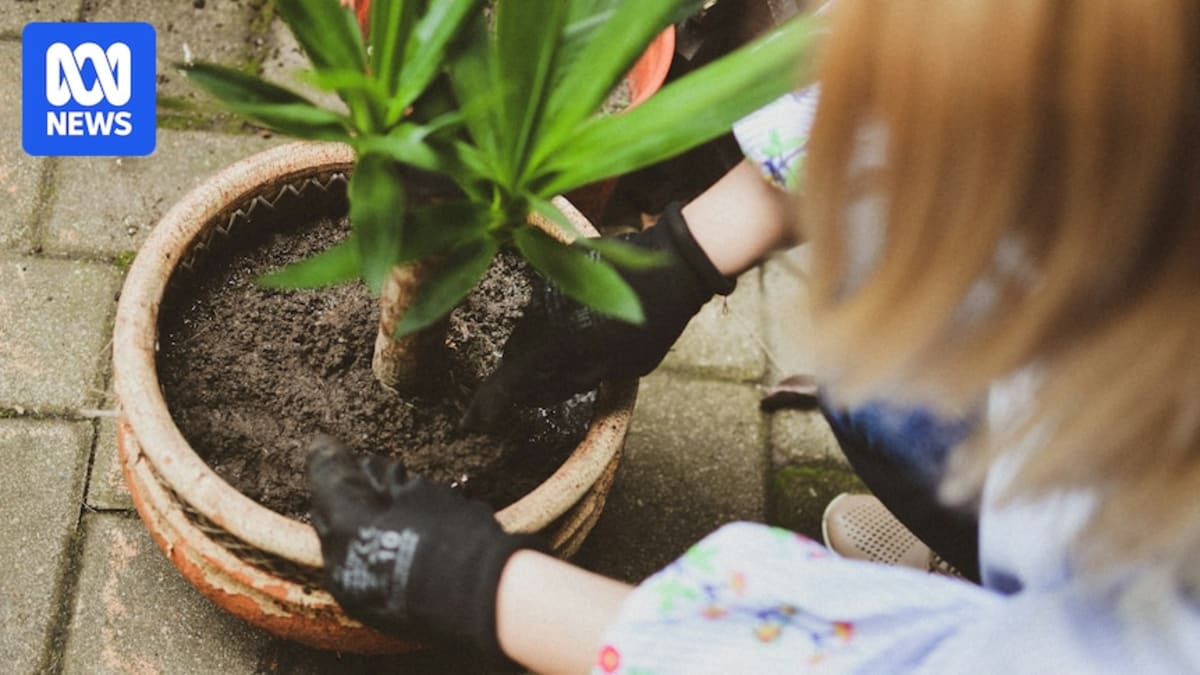 Gardening 2.5 Hours Weekly Linked to Better Mental Health