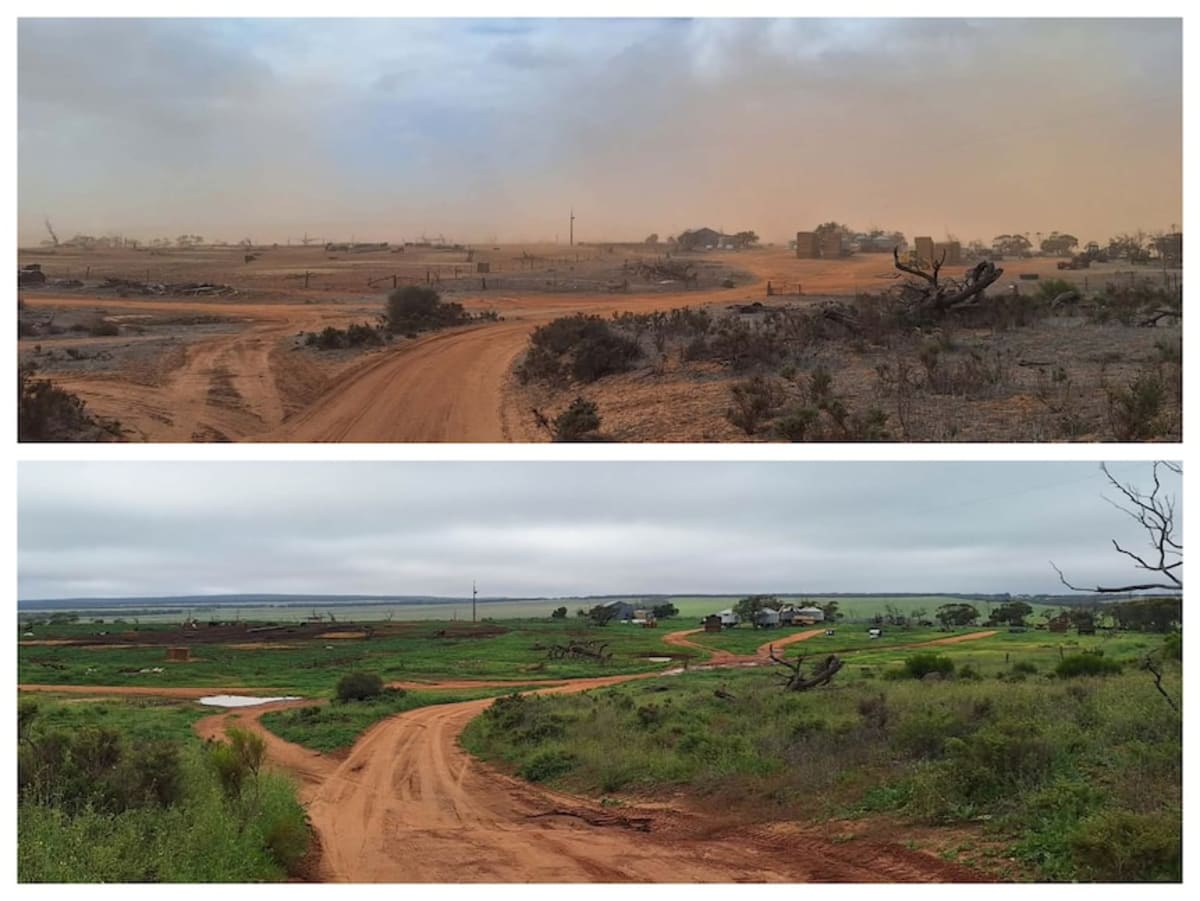 Record Rain Transforms South Australian Farms in Weeks - Image 4
