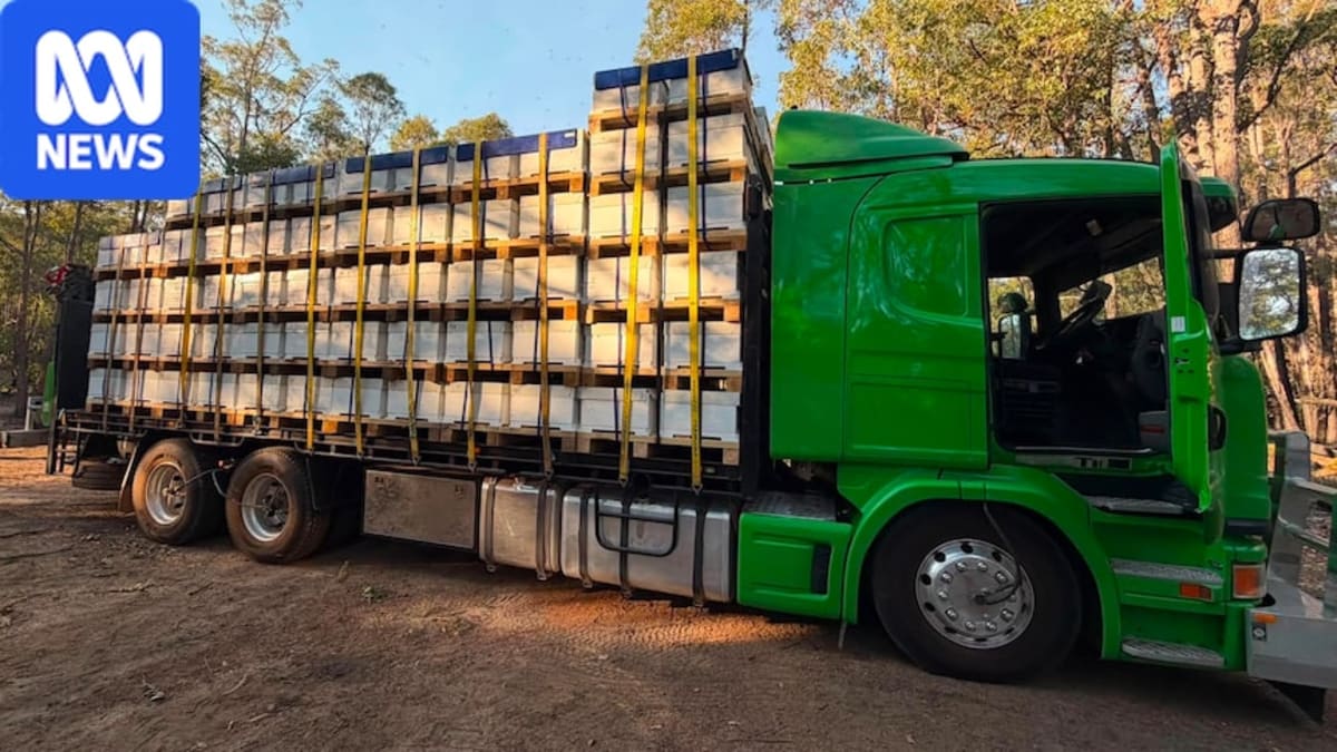 Pallets of wooden beehives stacked on a truck preparing for cross-country journey to South Australia
