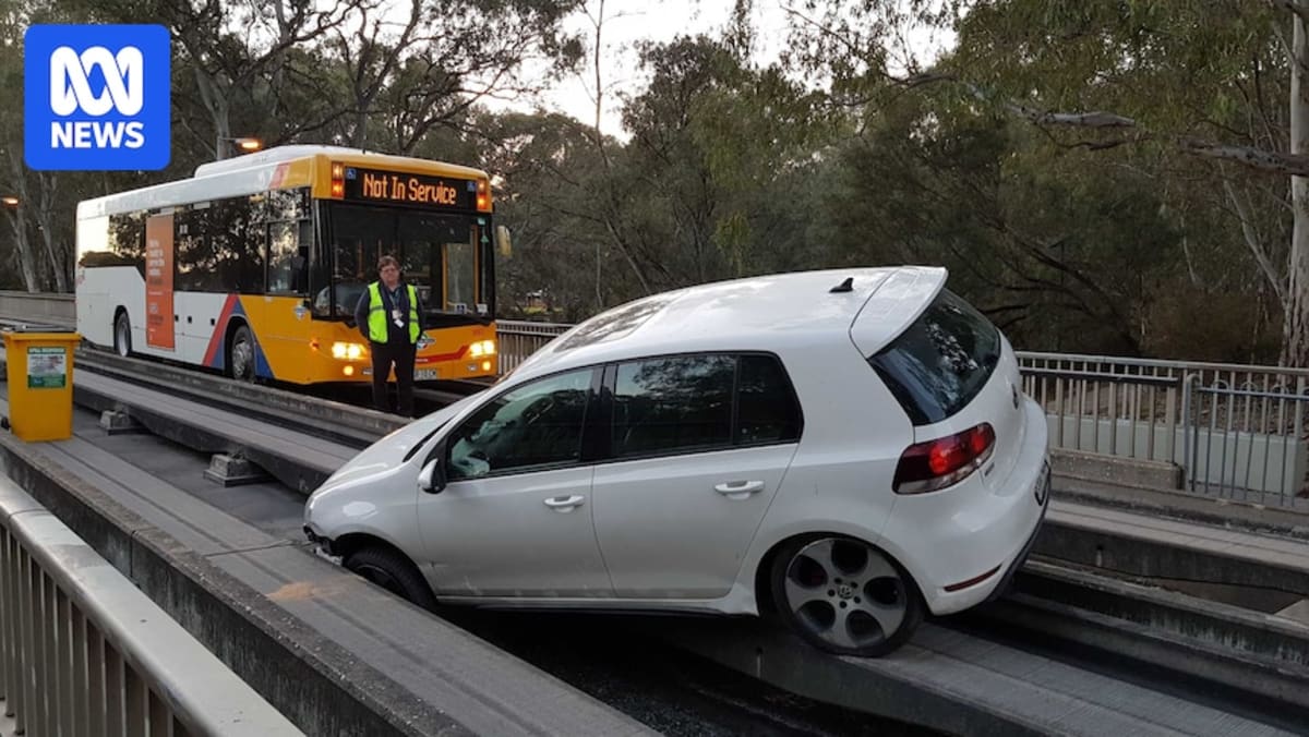 Guided bus traveling on concrete O-Bahn track in Adelaide, Australia