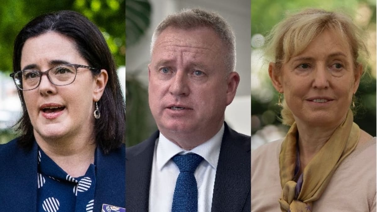 Tasmania Politicians Break Silence on Mental Health - Image 2