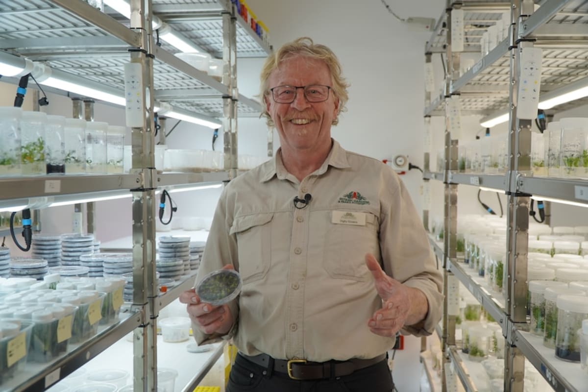 Scientists Clone One of World's Rarest Orchids - Image 4