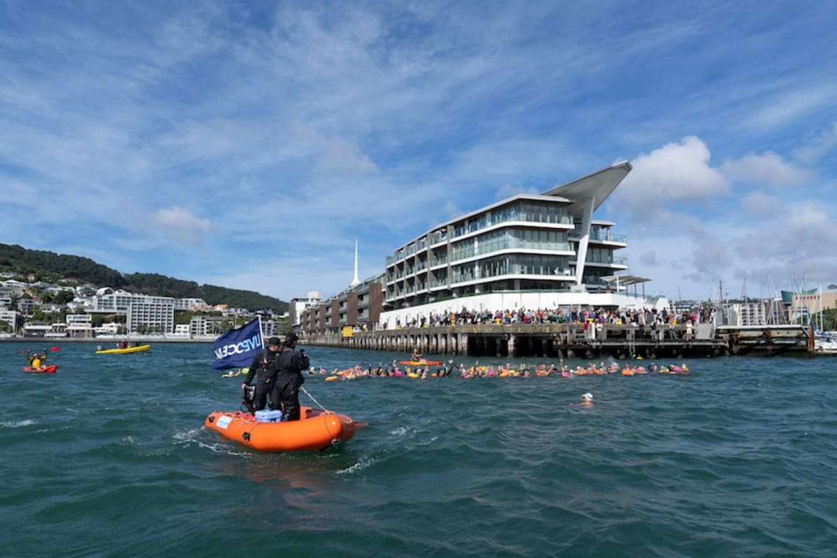 Swimmer's 90-Day Journey Unites New Zealand for Ocean - Image 4
