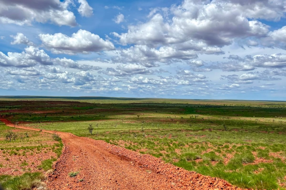 Pilbara Elder's Art Travels 5,000km to Sydney Biennale - Image 4