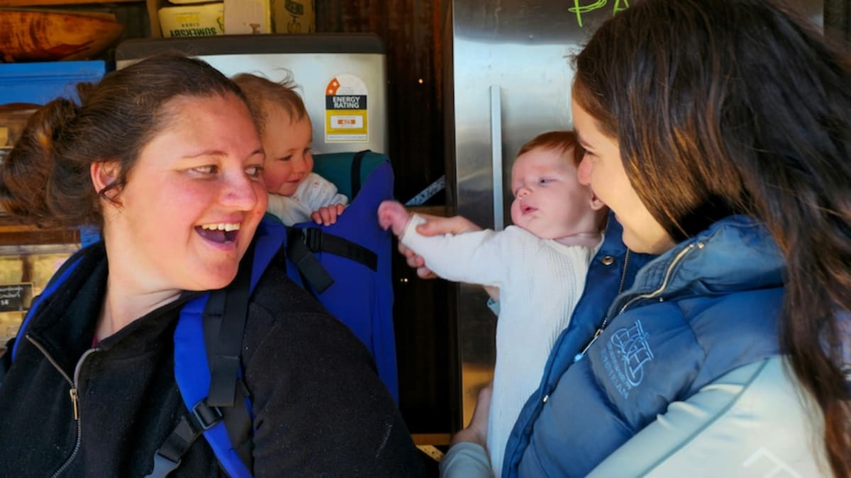 Two Moms Turn Farm Stand Into Thriving Community Pantry - Image 3