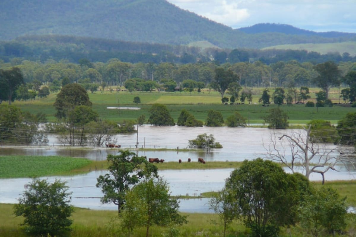 Queensland Councils Find $1.3B in Lost Roads and Drains - Image 4