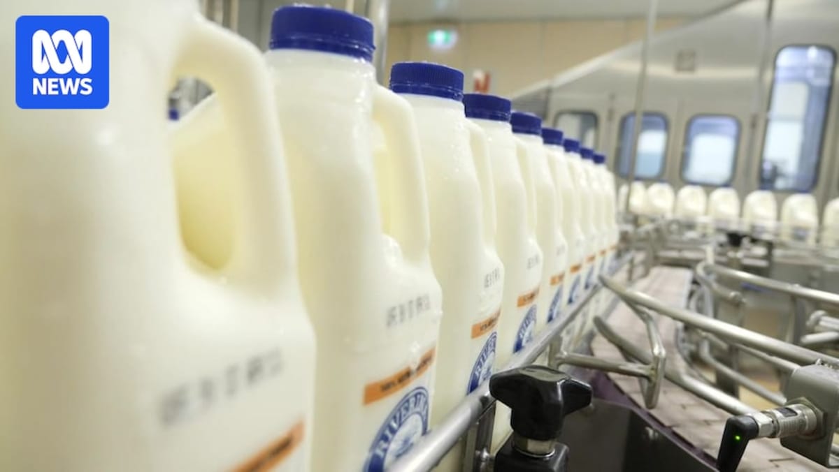 Canberra Tech Could Save 70M Tonnes of Milk Yearly