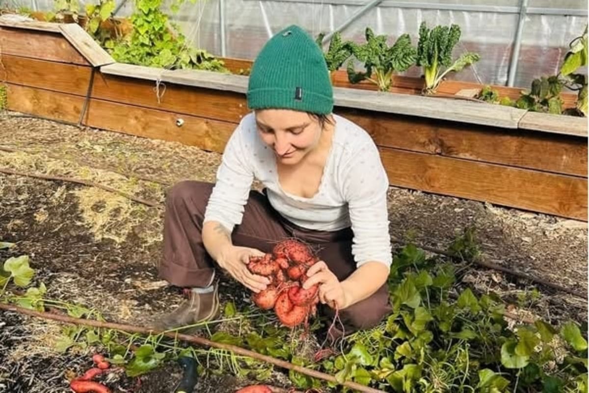 Gardening 2.5 Hours Weekly Linked to Better Mental Health - Image 4
