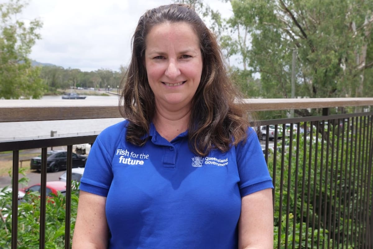 Tiger Sharks Return to Beaches in 3 Months After Relocation - Image 5