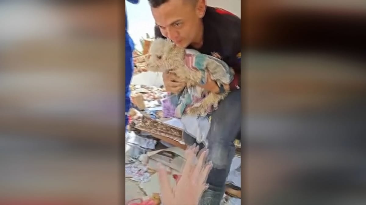 Venezuela: Baby Survives 32 Hours in Rubble at 18 Days Old - Image 5