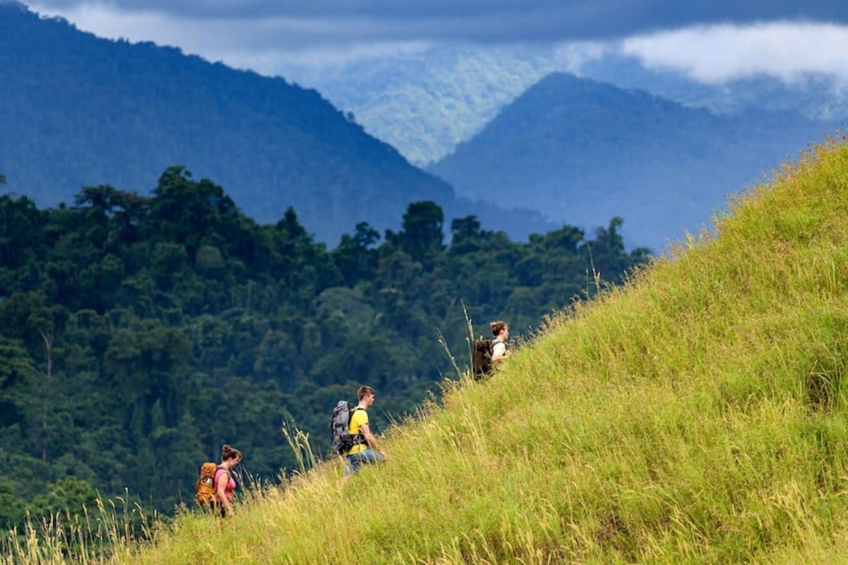 New Zealand Climbers Rescued From Solomon Islands Peak - Image 5