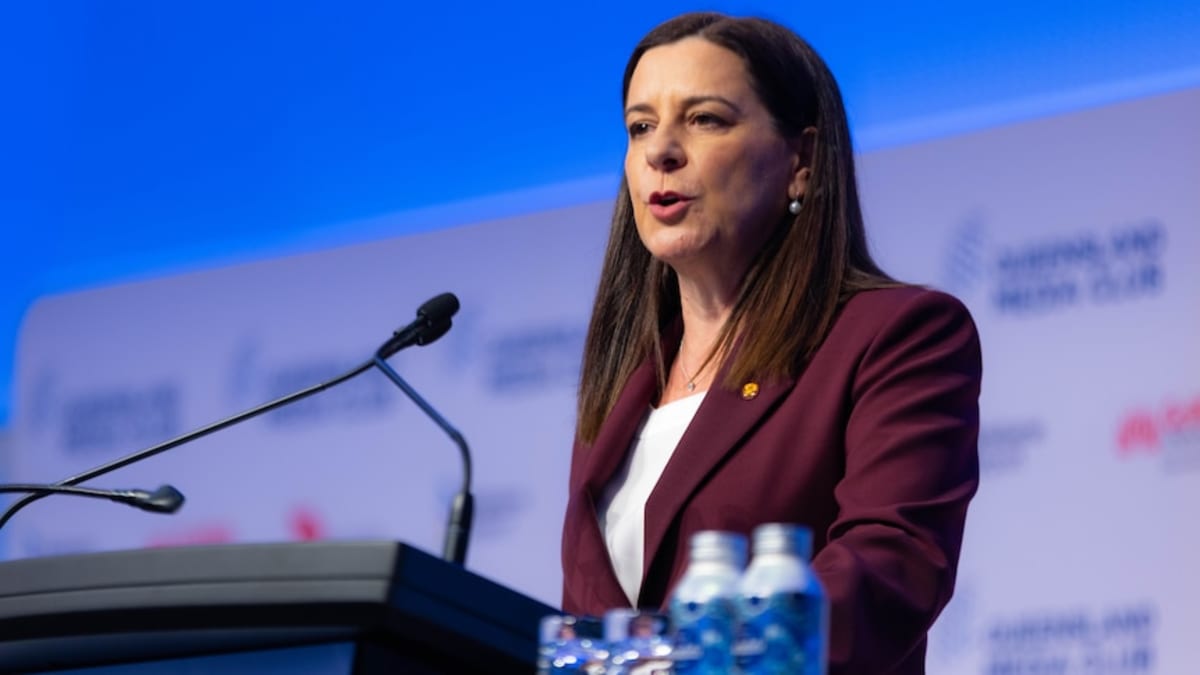 Queensland Invests $250M in New Child Protection Agency - Image 2