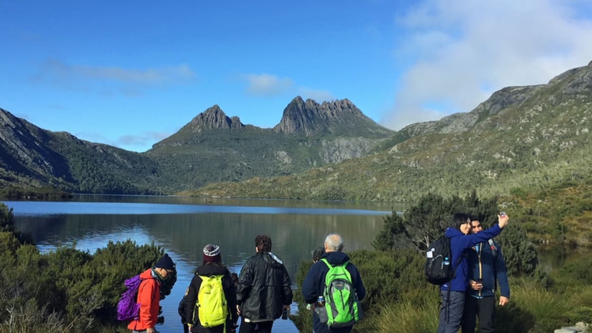Tasmania Cuts Influencer Fees to $100 for Park Content - Image 5