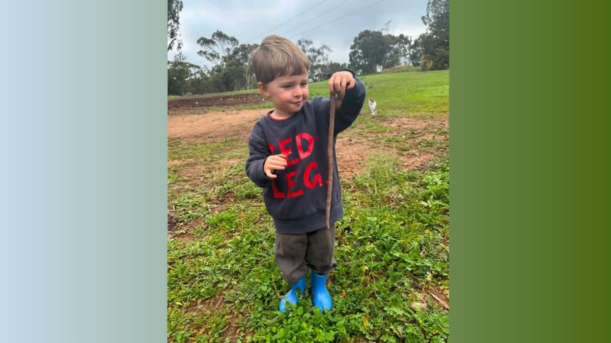 Giant Earthworms in South Australia May Be New Species - Image 2