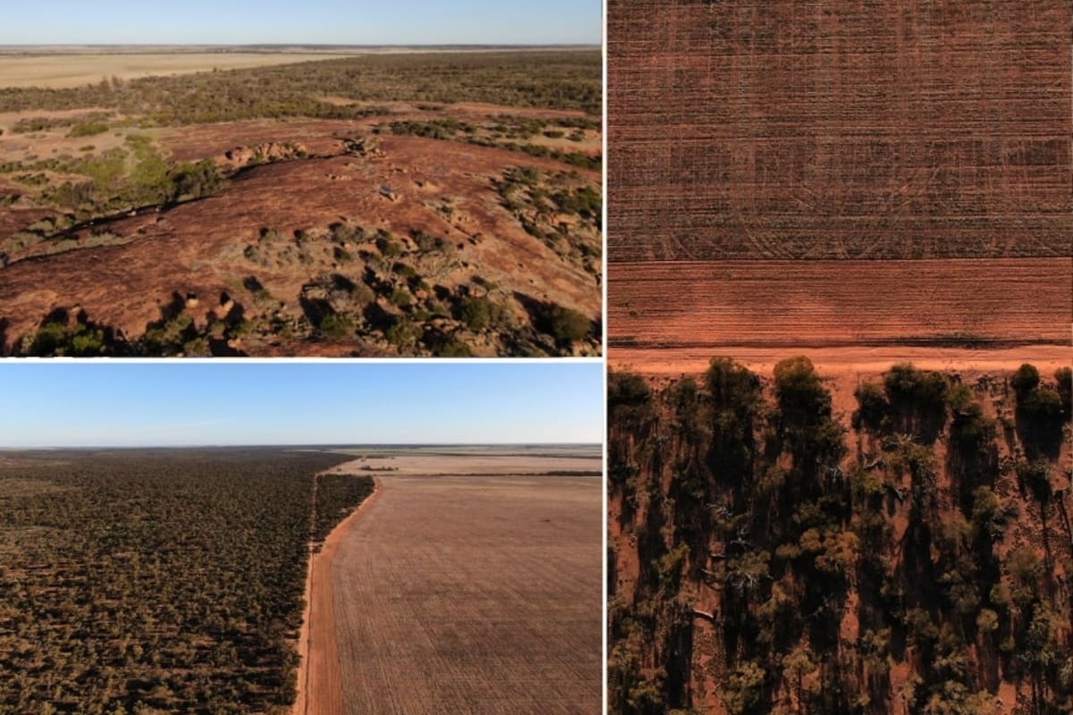 Lost 11 Days: Backpacker Survives Australian Outback Alone - Image 5