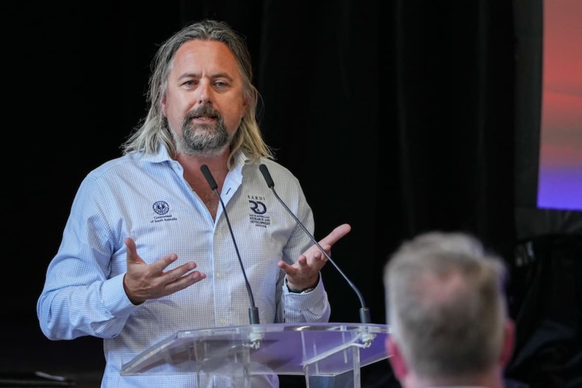 Squid Return to South Australia After Algal Bloom - Image 3