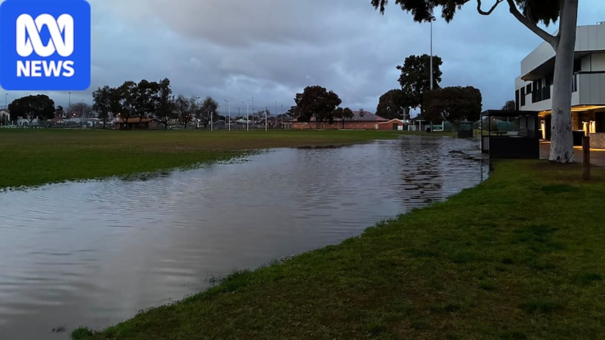Quick-Thinking Police Save 3 From South Australia Floods