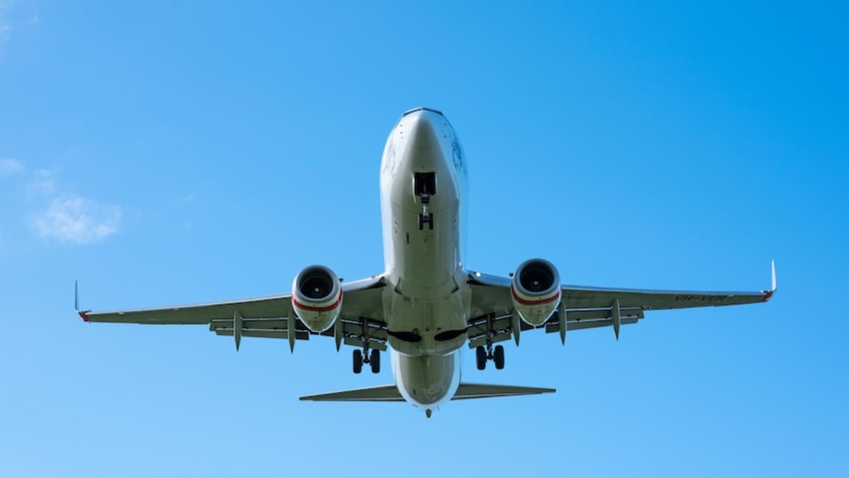 Australia Could Make 90% of Its Jet Fuel by 2050 - Image 3