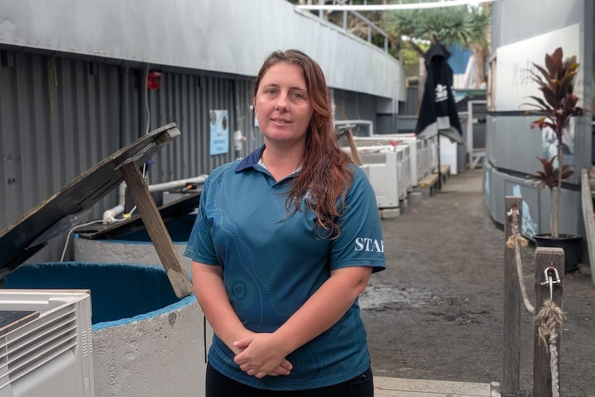 50kg Sea Turtle Saved After Days Stranded Upside Down - Image 5