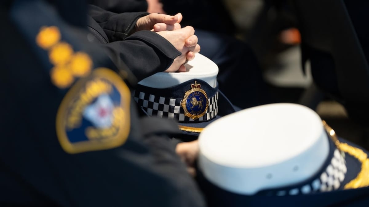 Tasmania Police Review Calls for More Support Services - Image 3