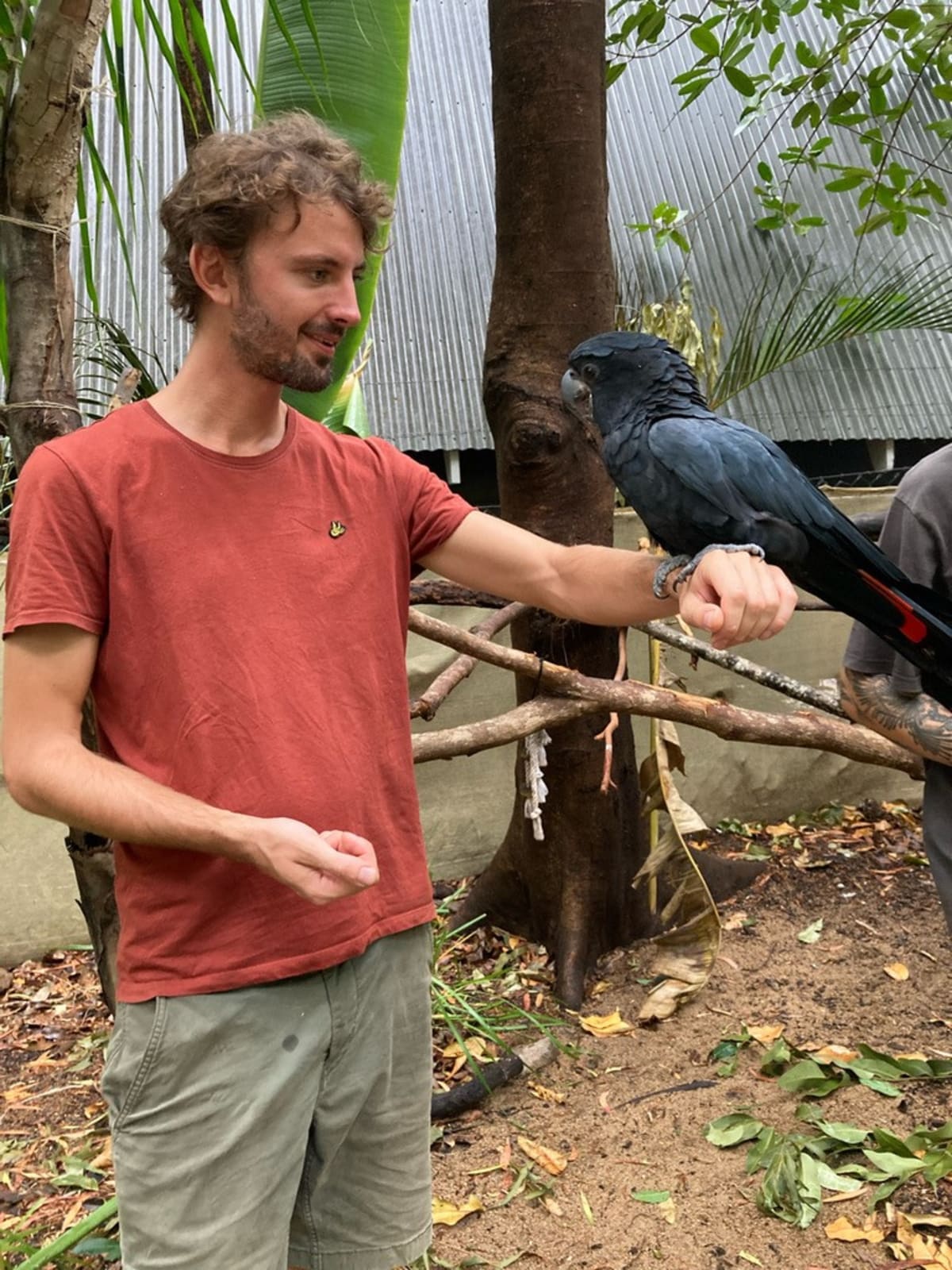 AI Cuts Wildlife Protection Work From Weeks to Hours - Image 5