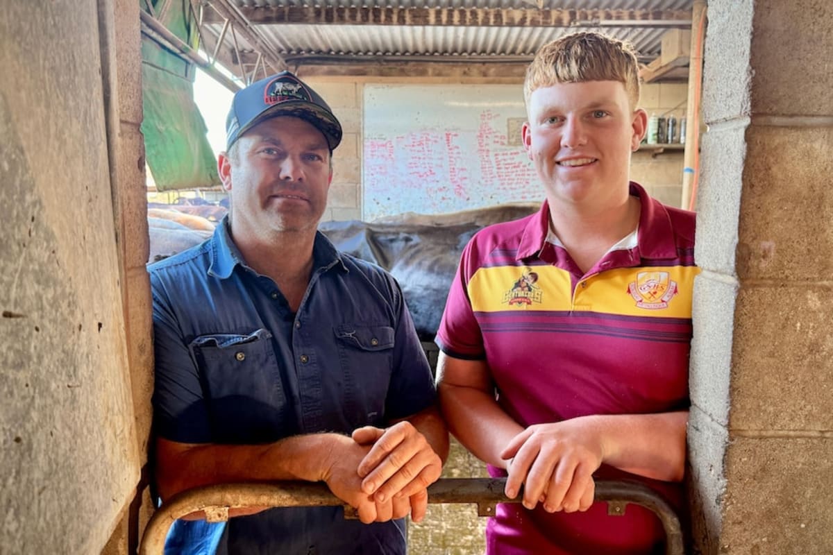 Dairy Saves 80-Year Queensland Farm Hours Before Closure - Image 4