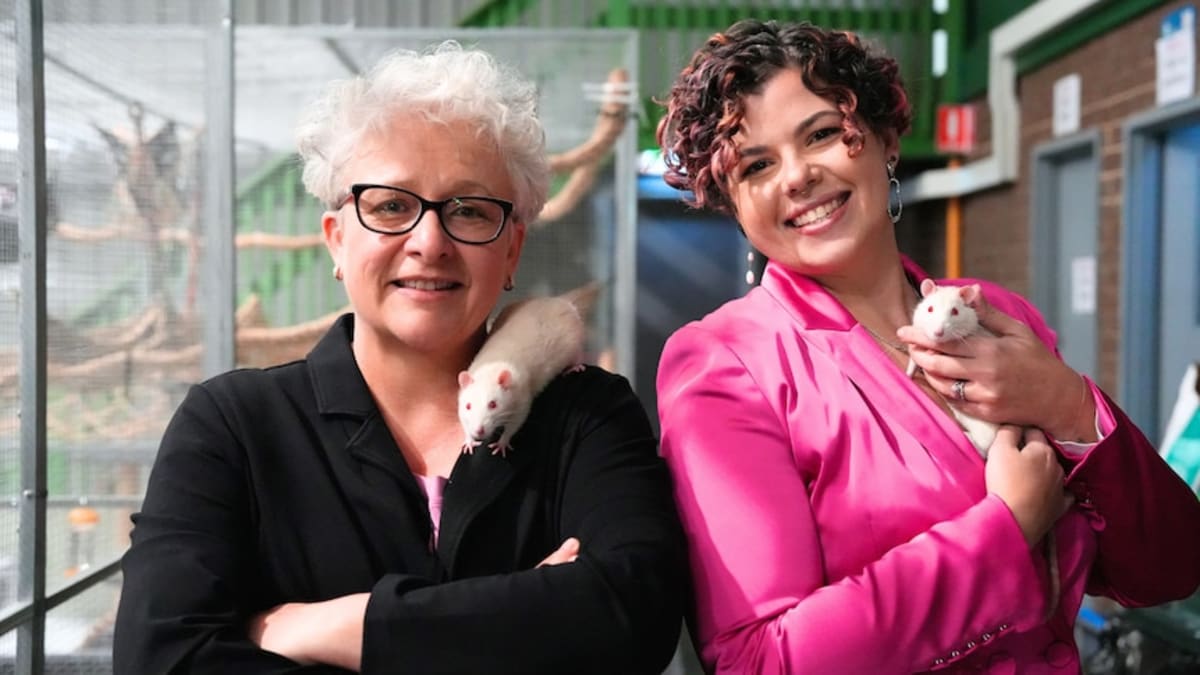 Australia Opens First Adoption Center for Lab Animals - Image 3
