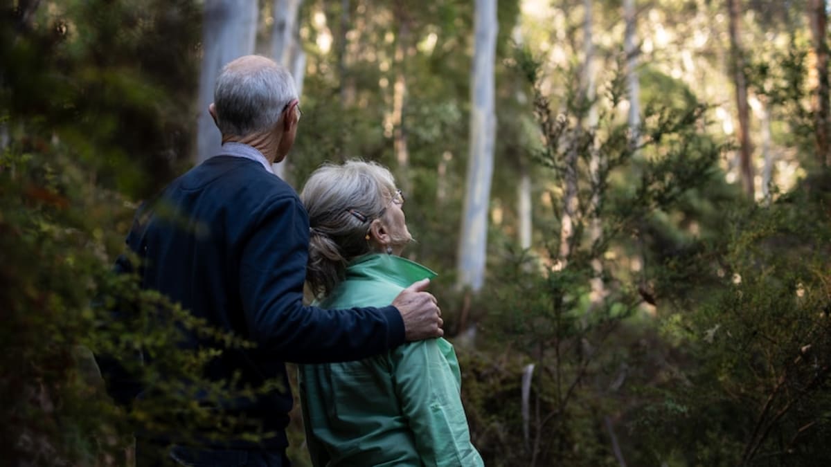 Couple Grows Endangered Forest From Scratch in Tasmania - Image 3