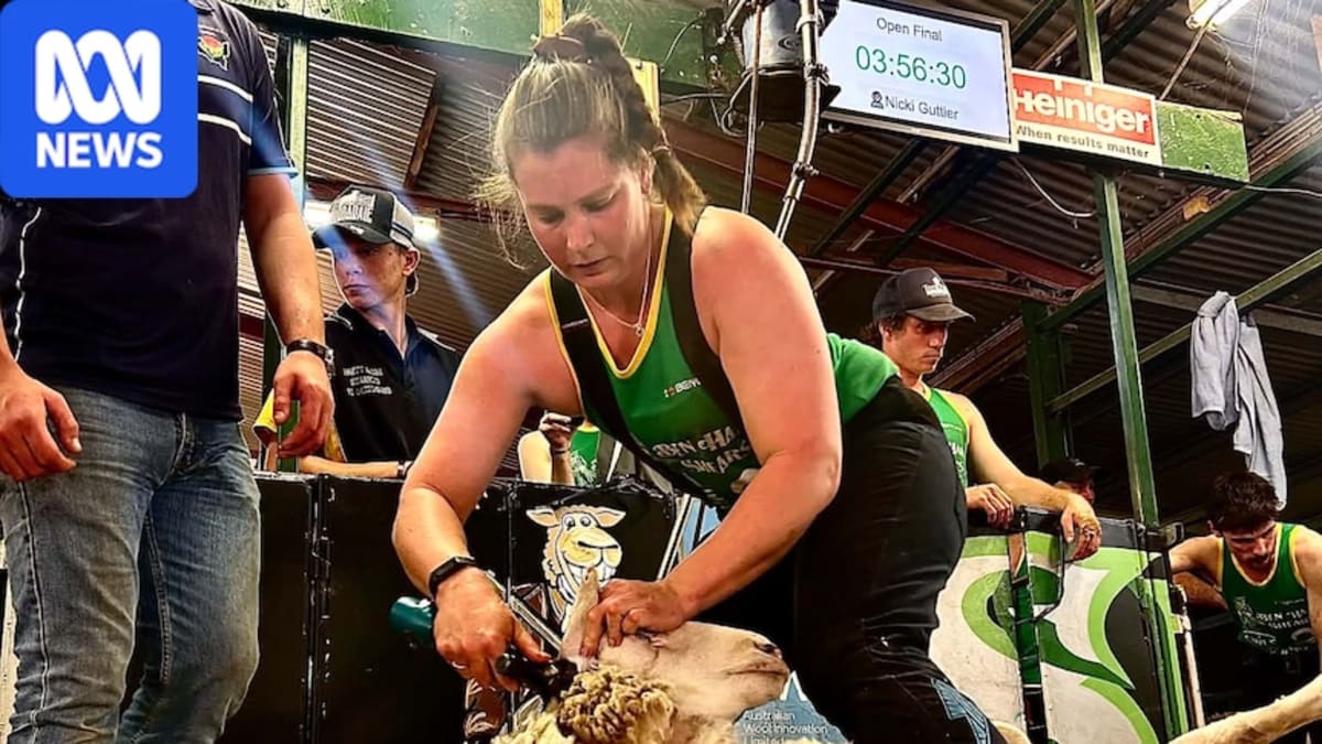 Woman Wins Two Open Shearing Titles Months After Injury
