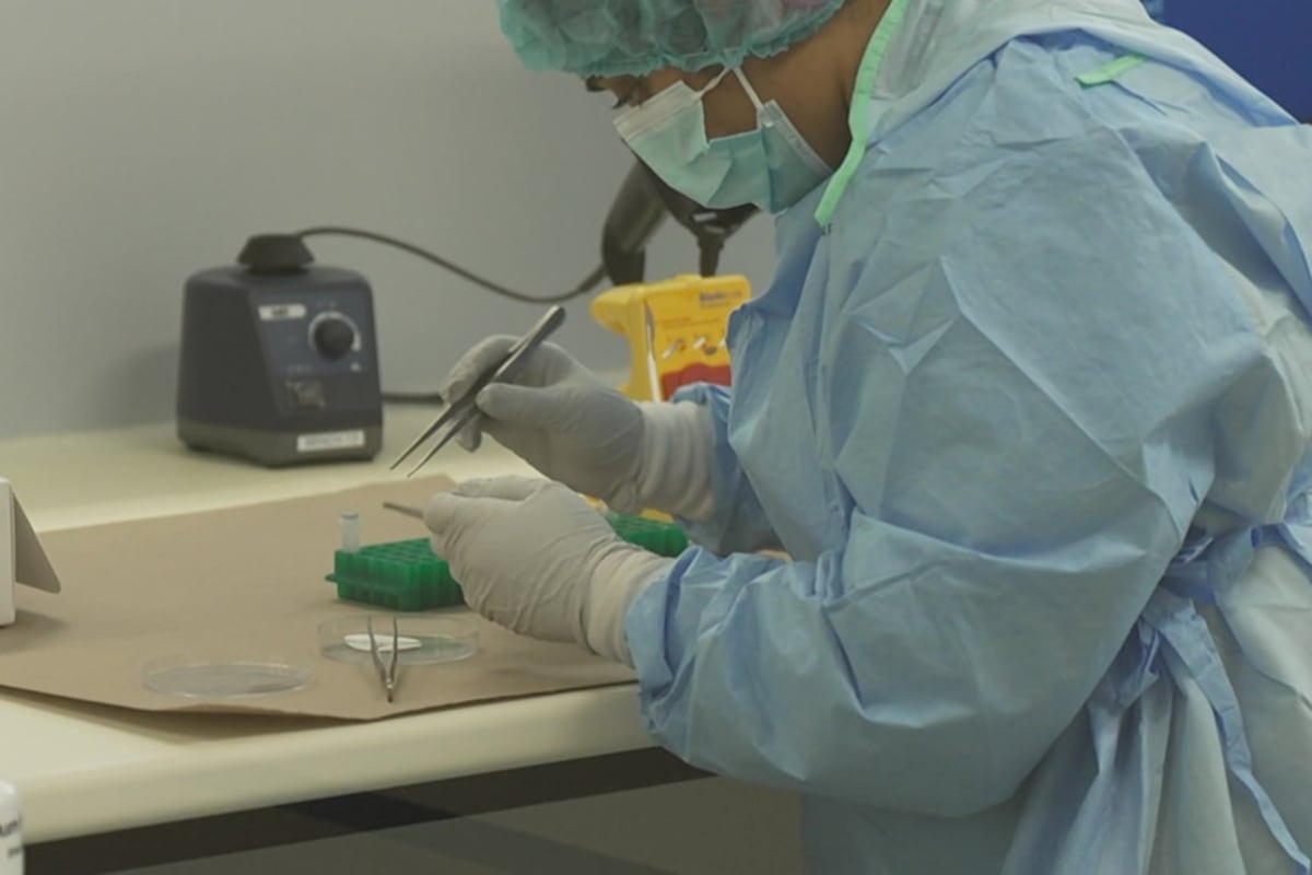 Queensland Clears 600 Rape Kit Backlog, Speeds Up Justice - Image 5