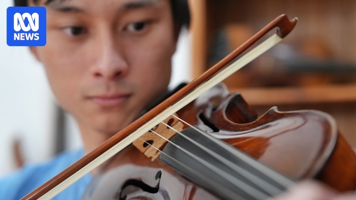 Luthier Michael Hargreaves examines the ornate scroll and body of an antique violin