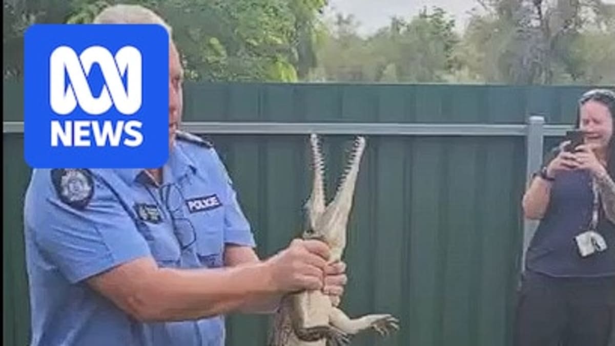 Aussie Cop Wrangles Snapping Croc from Backyard Porch