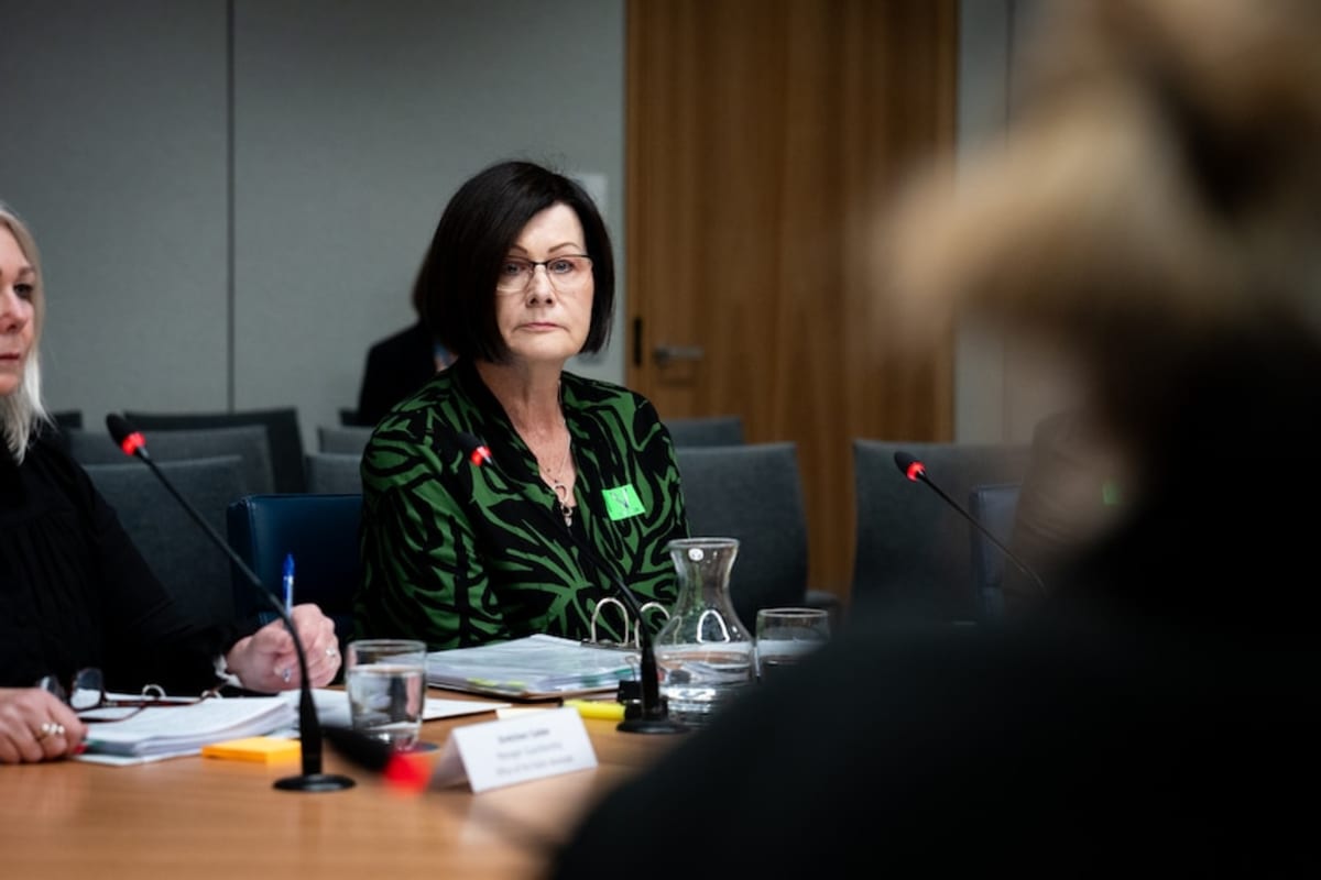 WA to Let Vulnerable Adults Share Their Own Stories - Image 5