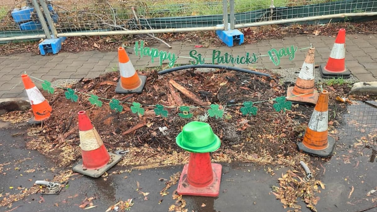 Adelaide Neighborhood Turns 7-Month Stump Into Festive Icon - Image 2
